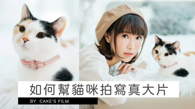 攝影教學︱貓咪寫真攝影