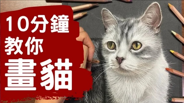 寫實畫教學︱十分鐘教你用乾粉彩畫貓