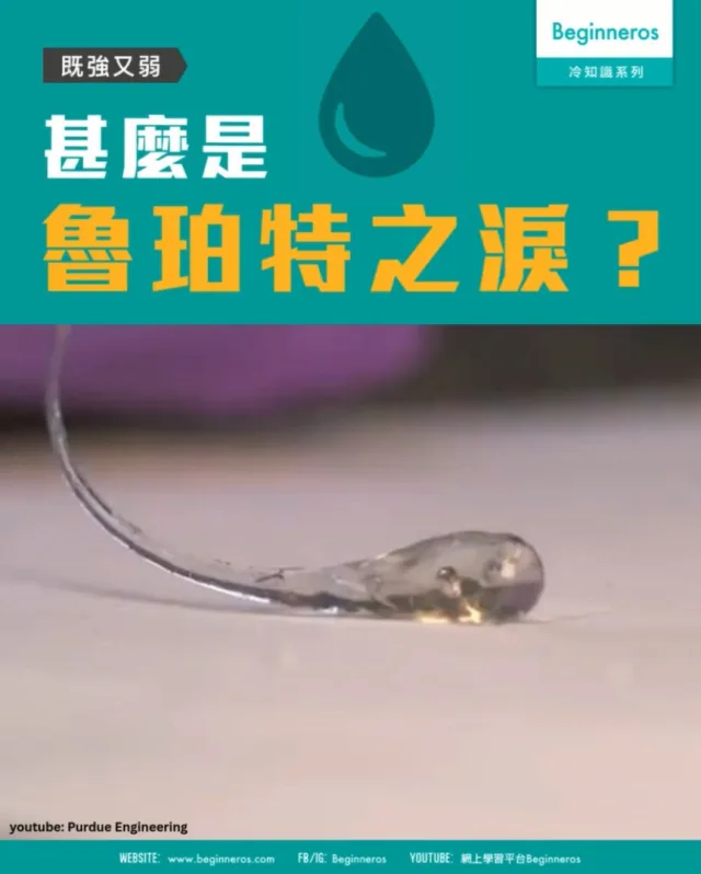 【既強又弱︱魯珀特之淚】
