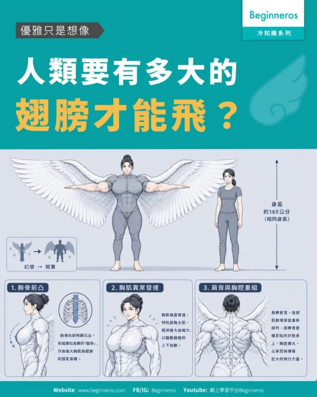 【優雅只是想像︱#人類要有多大的翅膀才能飛】
