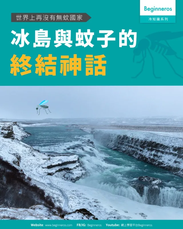 【世界上再沒有無蚊國家︱冰島與蚊子的終結神話】