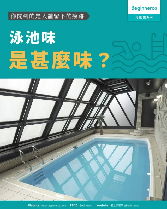 【你聞到的是人體留下的痕跡︱泳池味是甚麼】