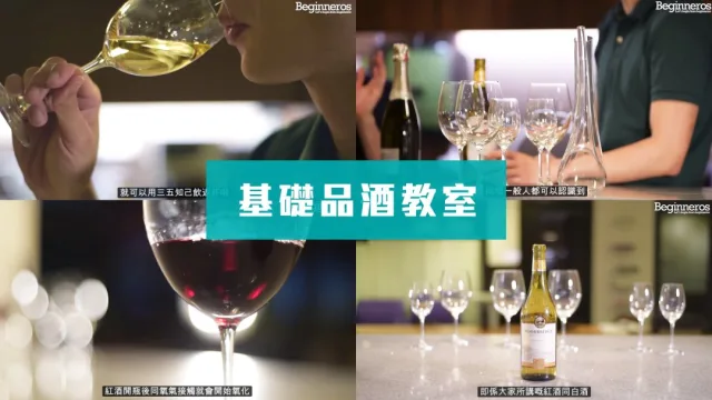 基礎品酒教學