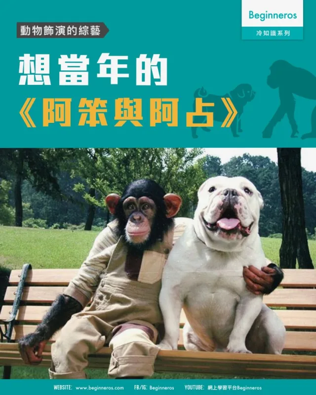 【動物飾演的綜藝｜阿笨與阿占】