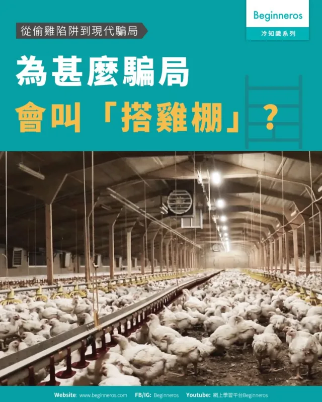 【從偷雞陷阱到現代騙局︱為甚麼騙局會叫「搭雞棚」】
