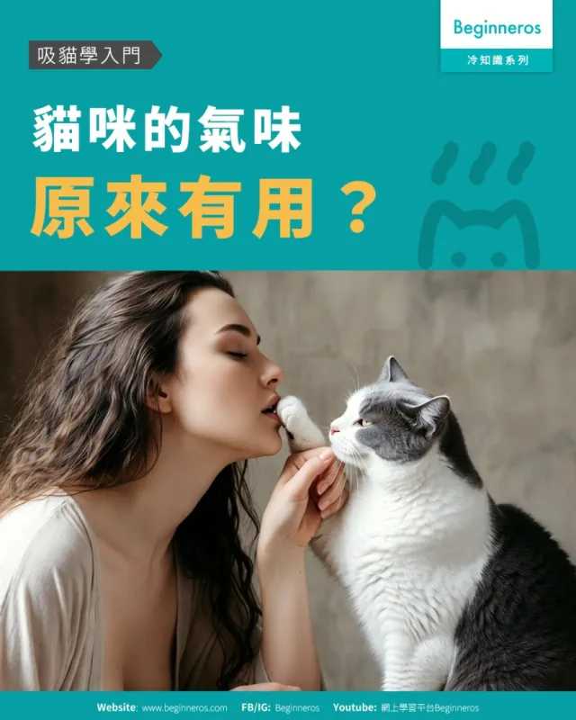 【吸貓學入門︱貓咪的氣味原來有用？】