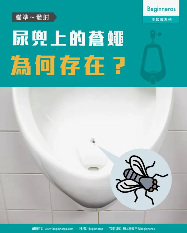 【瞄準～發射｜#尿兜上的蒼蠅為何存在】