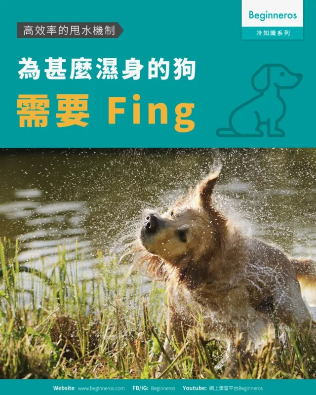 【為甚麼濕身的狗需要 Fing︱高效率的甩水機制】