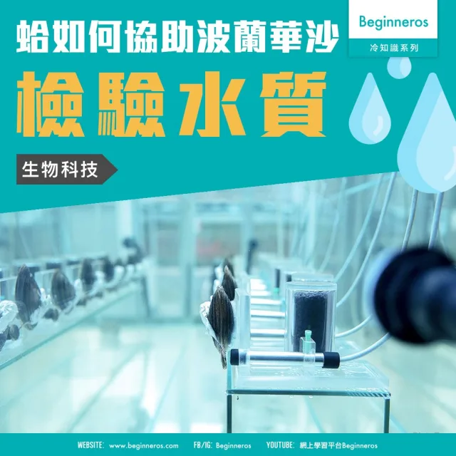 【動物冷知識】蛤如何協助波蘭華沙檢驗水質