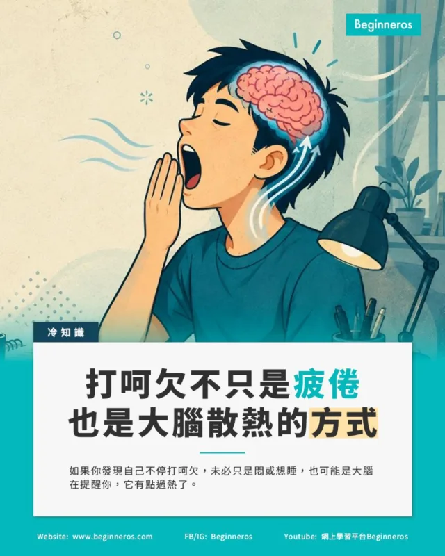 【打呵欠不只是疲倦，也是大腦散熱的一種方式】