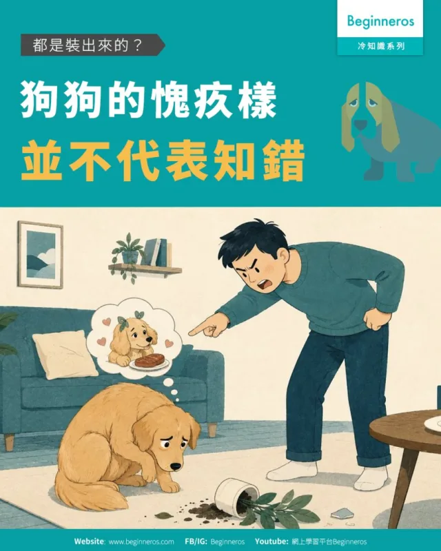 【都是裝出來的？ ︱#狗狗的愧疚樣並不代表知錯】