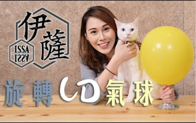 手作教學｜貓咪玩具 (二)