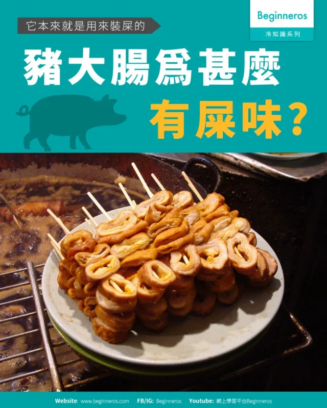 【它本來就是用來裝屎的︱豬大腸為甚麼有屎味】