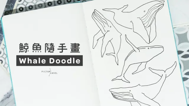 簡易手帳插畫｜4款鯨魚手繪教學