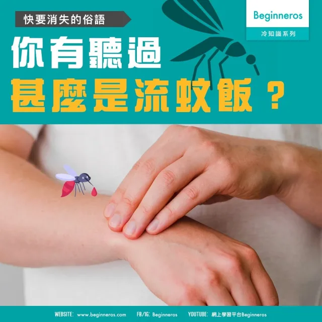 【語言冷知識】甚麼是流蚊飯？